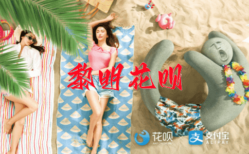 立竿见影花呗